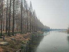 -云龙湖旅游景区