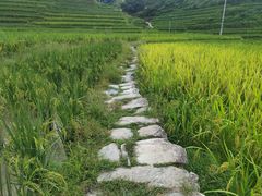 -龙脊梯田