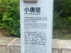 -四门塔风景区
