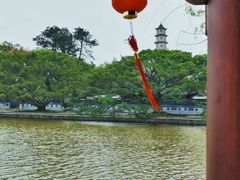 -江心屿景区