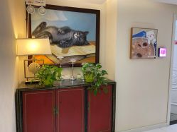 -咪咪比基尼脱毛专业店