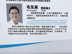 -北京观赏动物医院·24小时大型综合·猫专科·异宠专科