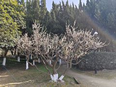 -白马涧龙池景区