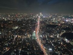 -六本木新城展望台(东京城市景观)