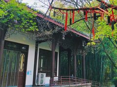 -望江楼公园