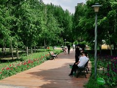 -长春公园(普阳街道)