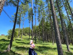 -塞罕坝国家级自然保护区