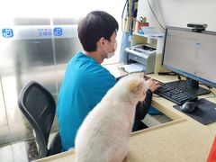 -宠颐生嘉德动物医院