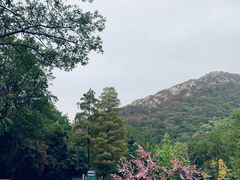 -木兰云雾山