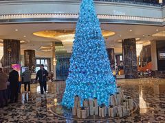 -上海星河湾酒店(闵行店)