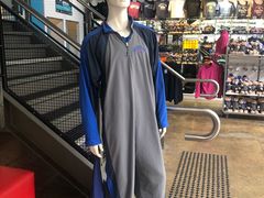-悉尼海港大桥