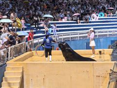 -秦皇岛乐岛海洋王国