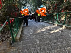 -云南屏边大围山国家公园