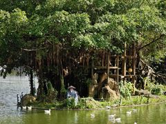 -深圳野生动物园
