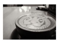 -SAFARI COFFEE
