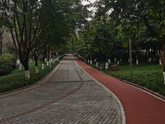 -龙头寺公园