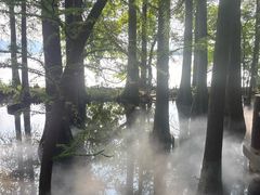 -东湖落雁景区