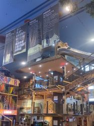 -卡通尼·Safari非洲探索乐园·生日会(金桥国际商业广场店)