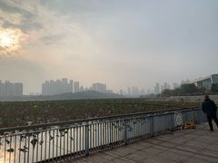 -月湖风景区