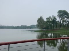 -东郊湿地公园