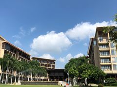 -三亚亚龙湾红树林度假酒店