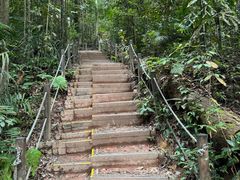 -武吉知马自然保护区