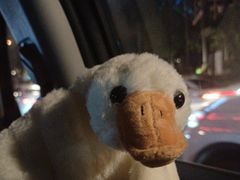 -山之屋炭火烧肉·生啤畅饮(大朗万科中央公园店)