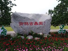 -御林古桑园