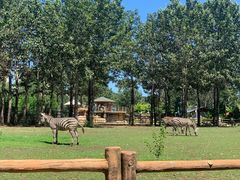 -大连森林动物园