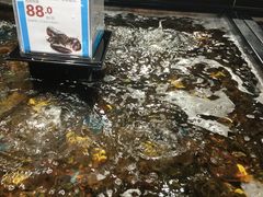 -盒马鲜生(曜一城店)