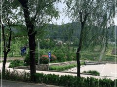 -王顺山国家森林公园