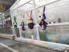 -北京华联合肥长江西路购物中心