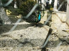 -临平公园(临平街道)
