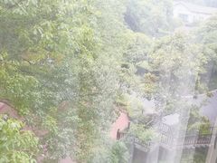 -浙江宾馆·花园餐厅·自助餐厅·茶吧