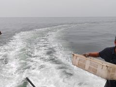 -日照世帆赛基地