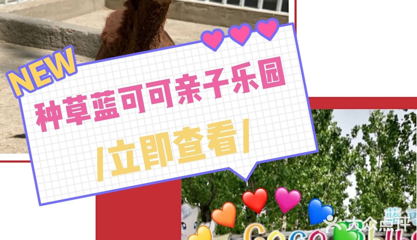 蓝可可亲子乐园带娃来放电[调皮][调皮]