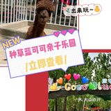 蓝可可亲子乐园带娃来放电[调皮][调皮]