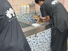 -FAELING PETS美天灵宠物(富力广场店)