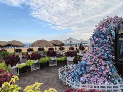 -青岛第二海水浴场