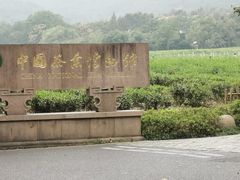 -中国茶叶博物馆(双峰馆区)