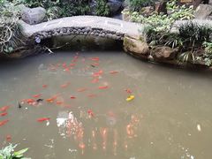 -钦善斋(武侯祠店)
