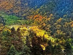 -黄龙山原始森林景区