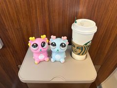 -星巴克(上海虹桥站2A检票口)