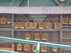 -香港海洋公园
