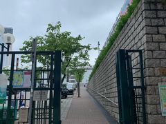 -九龙公园