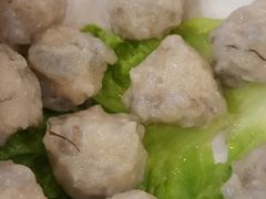 -朱氏胖子烂火锅(洪崖洞店)
