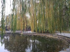 -玲珑塔公园