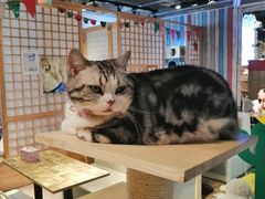 -小时光咖啡馆(开森度假森林店)