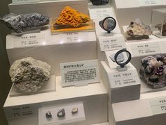 -天津自然博物馆