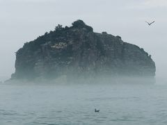 -棒棰岛宾馆景区